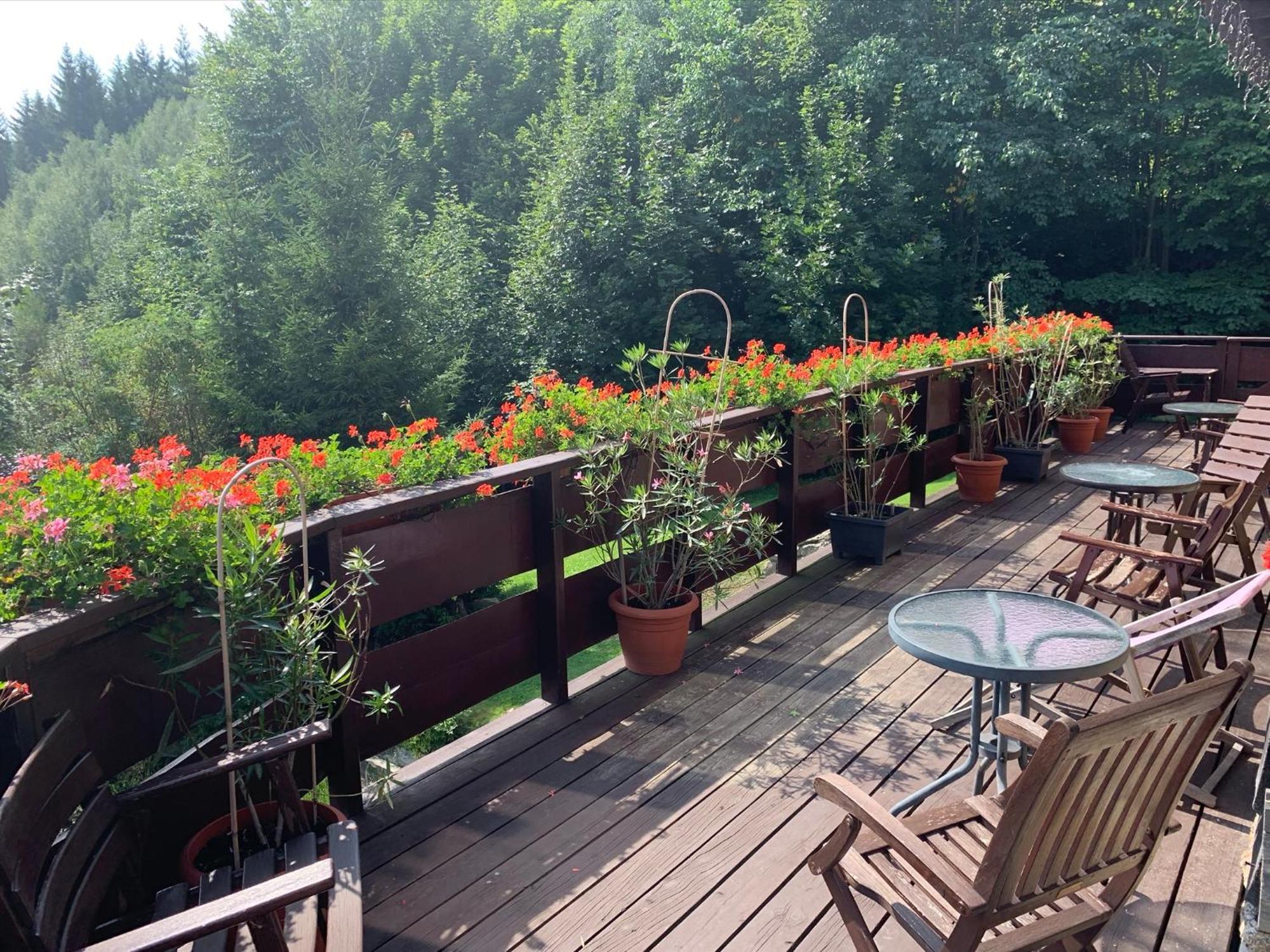 Agropajda Villa Sokolec Dış mekan fotoğraf